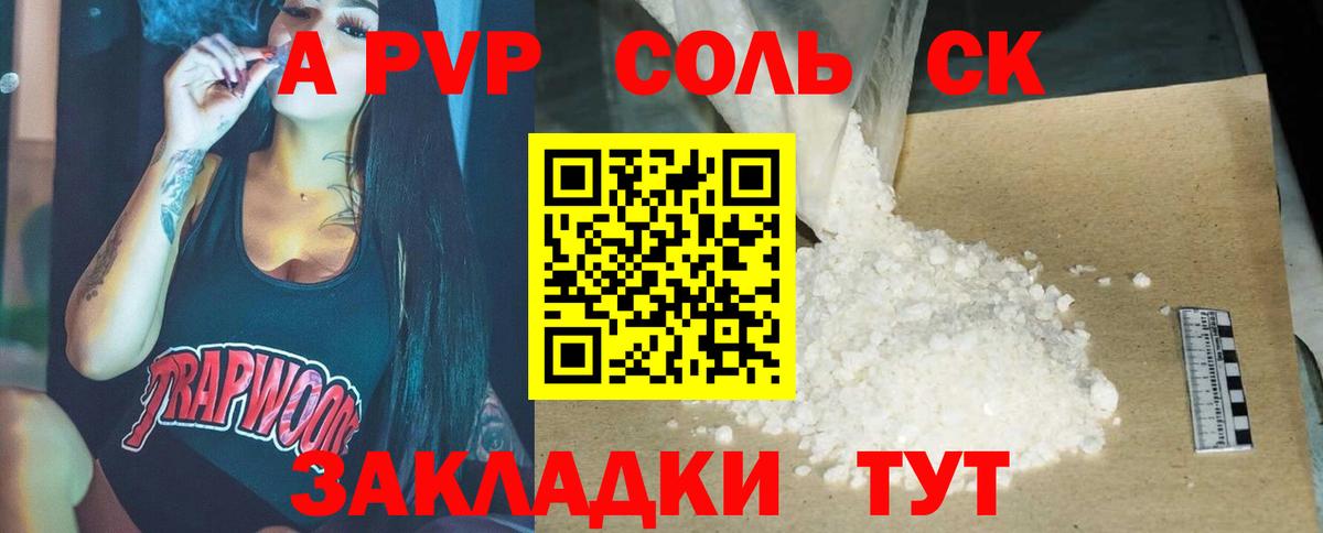 A PVP СК КРИС Петровск
